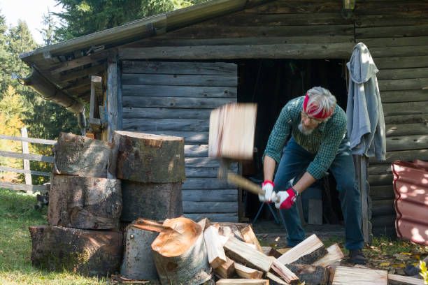 istock Senior man chopping firewood 1355690022