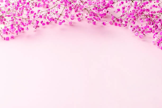 istock round frame wreath pattern with gypsophila flower 1355690927