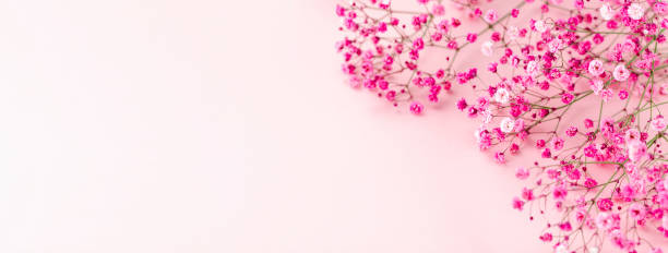 istock round frame wreath pattern with gypsophila flower 1355690933