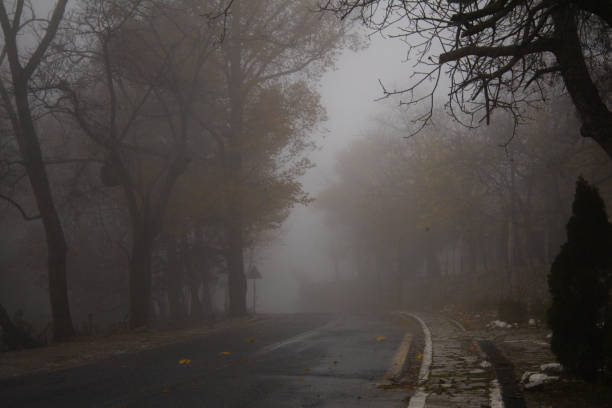 istock Rainy day with fog at Parnitha, Greece 1355692396