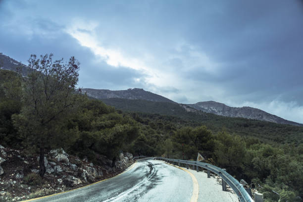 Rainy day with fog at Parnitha, Greece