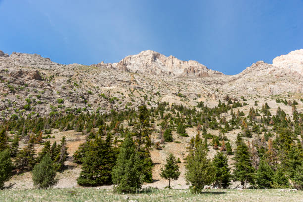 istock Aladaglar National Park 1355700438