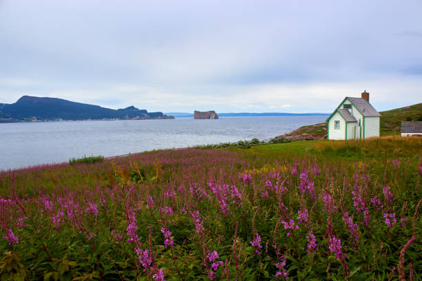 gaspé peninsula - nouri stockfoto's en -beelden