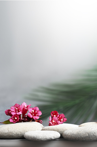 Spa stones with palm branch and flowers on grey background. Spa concept.