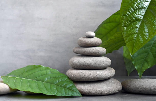 istock Spa stones with green leaf on grey background. 1355706819