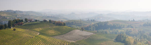 istock Langhe Landscape, Piedmont 1355709801