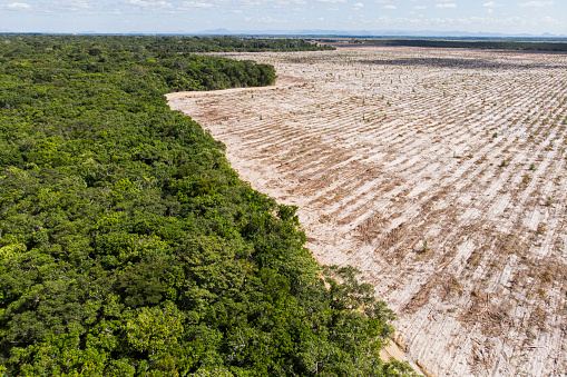 Drone view of deflorestation in Brazil