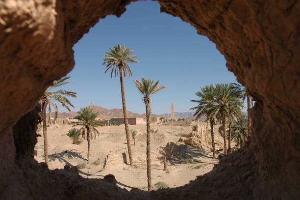 istock Palm grove of  Figuig in Morocco 1355714828