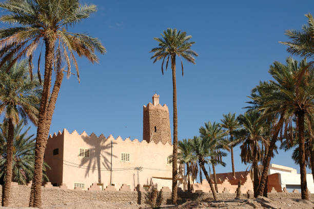 istock Palm grove of  Figuig in Morocco 1355714967