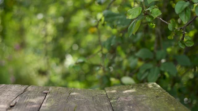 Close-up view 4k stock video footage of empty real old weathered vintage surface of wooden table standing outdoors in countryside garden. Green leaves of blurry apple tree in background