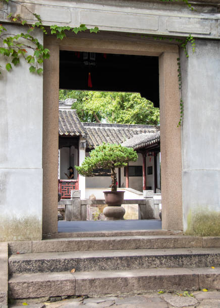 istock Bonsai tree behind a temple door at Suzhou 1355715520