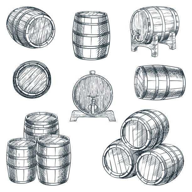 나무 배럴 세트. 벡터 손 그린 스케치 그림. 와인, 맥주, 흰색 배경에 위스키 저장 용기 - casks stock illustrations