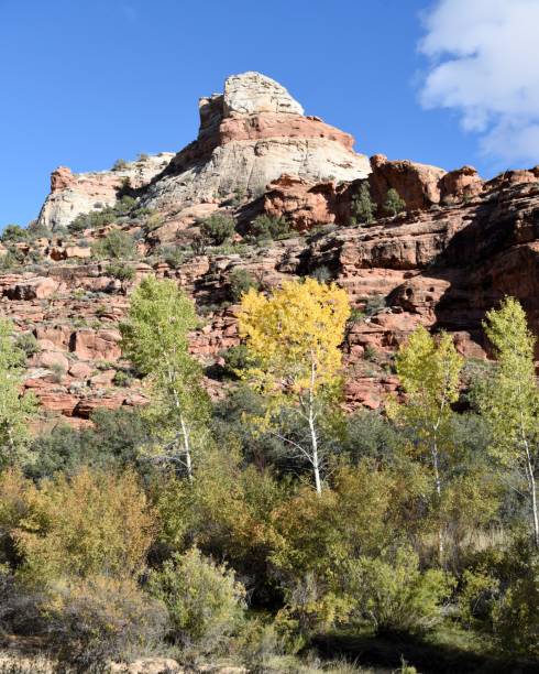 istock Calf Creek Canyon and Vegetation 1355721943
