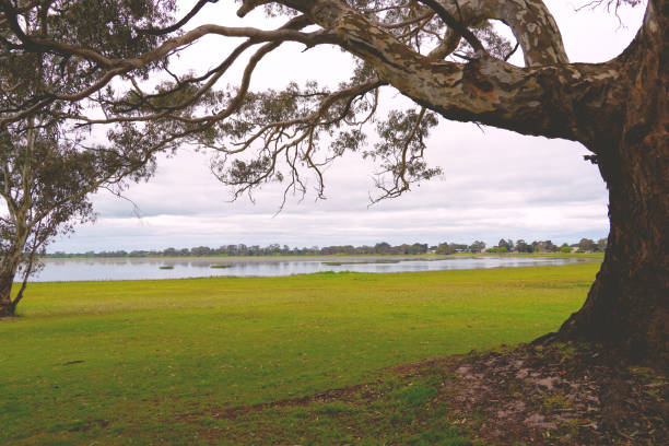 istock Edenhope,  Wimmera, Victoria, Australia 1355723604