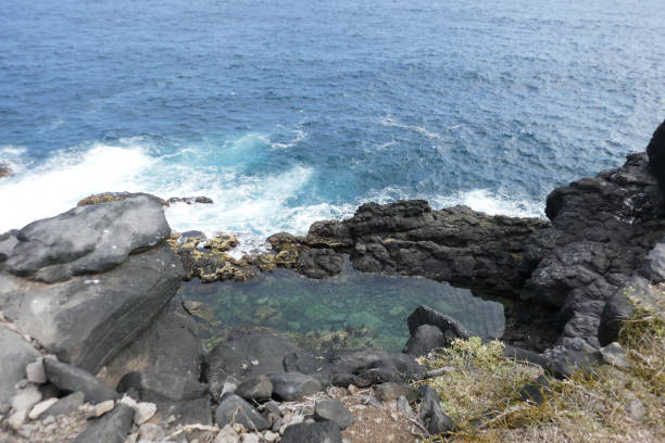 istock Punta Suarez, Espanola, Galapagos Islands 1355728092