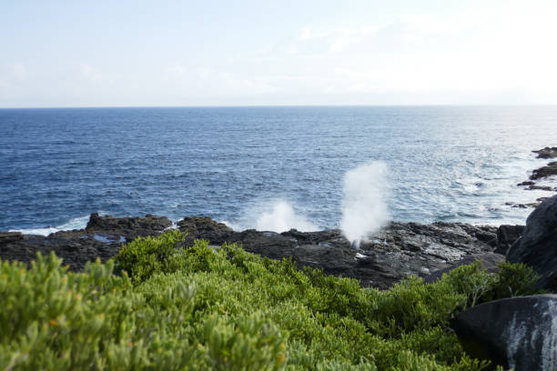 Espanola is located at the extreme southeast of the Galapagos archipelago.