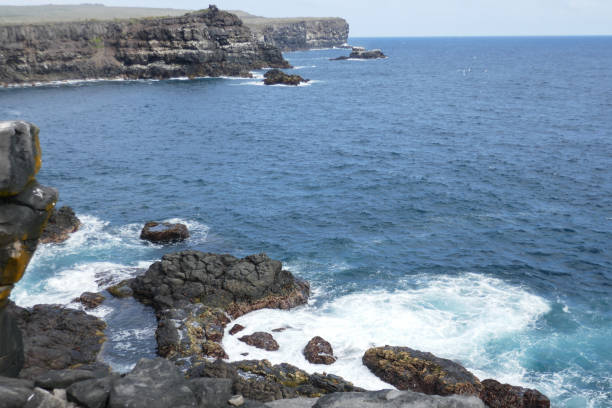 istock Punta Suarez, Espanola, Galapagos Islands 1355728104