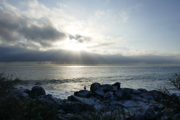istock Punta Suarez, Espanola, Galapagos Islands 1355728653