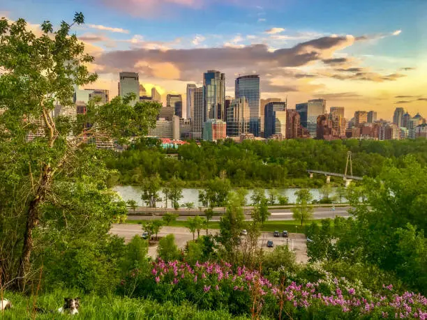 Photo of Spring playtime in Calgary