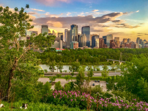 spring playtime in calgary - financial district calgary business built structure imagens e fotografias de stock