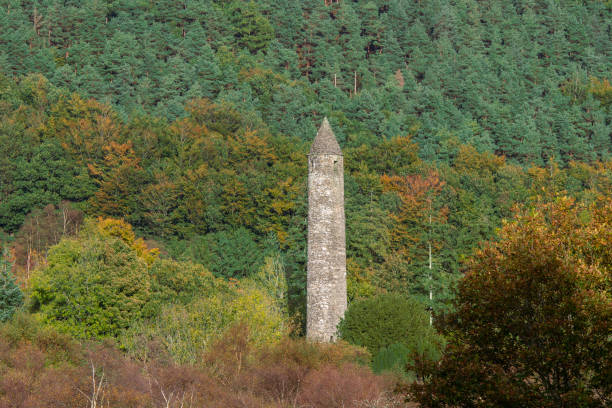 glendalough okrągła wieża z jesiennym tłem leśnym. - cemetery hill zdjęcia i obrazy z banku zdjęć