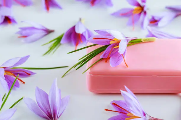 Saffron soap on a background of saffron flowers. Moisturizing the skin of hands and face. Antibacterial and antiseptic.