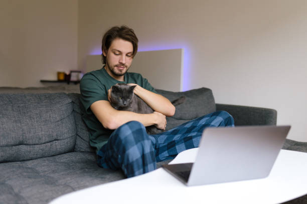 istock Man working at home with his domestic cat 1355734031