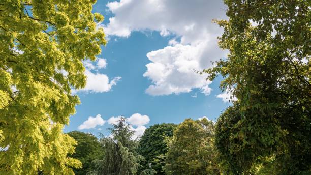 istock Paris , France 1355739723
