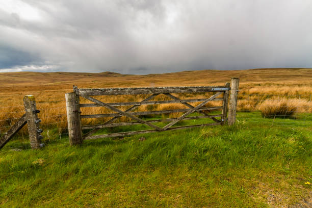 istock Gate and upland moorland 1355741794
