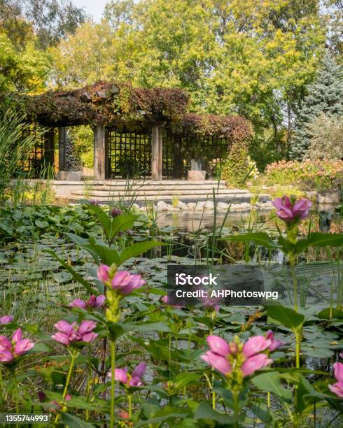 English Garden Stock Photo - Download Image Now - Winnipeg, English Landscape Garden, Water