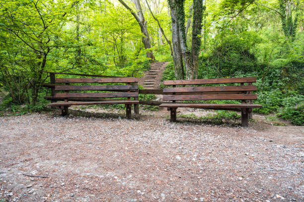 Two old wooden benches for the rest.