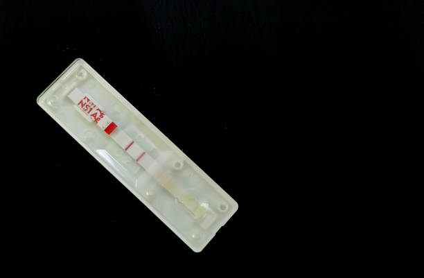 istock Rapid screening test for dengue virus antigen test isolated with copy space on black background , dengue NS1. 1355760275