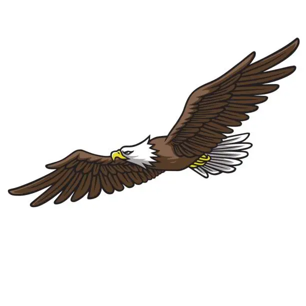 Vector illustration of Eagle Mascot Logo Spread Wings Vector Illustration