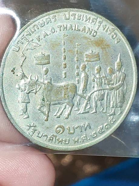 istock Thai baht (coin), In hand holding, Closeup shot. 1355766947