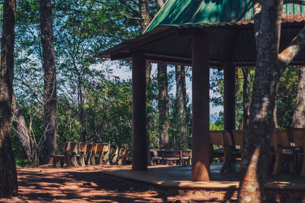 istock Nature coniferous mix deciduous forest park open view background. Gazebo gable green roof canopy, stone benches. Rain protect. Summer sun day trees shadow sky. Travel peace lifestyle leisure backyard 1355784110