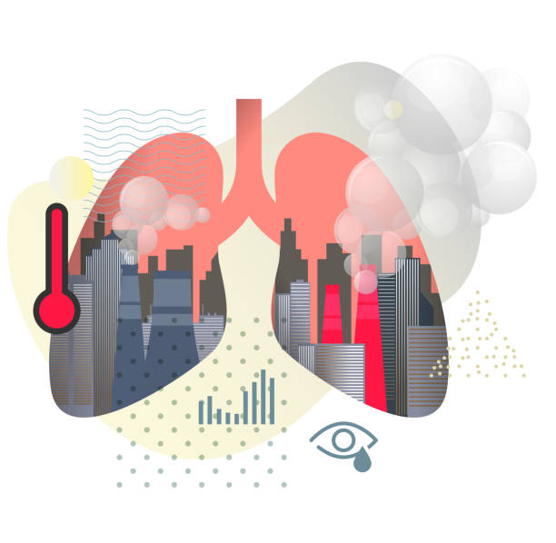 Urban Pollution - Effect of Particulate Matter PM 10 and 2.5 Pollution on Human Lungs - Icon Urban Pollution - Effect of Particulate Matter PM 10 and 2.5 Pollution on Human Lungs - Icon as EPS 10 File air pollution stock illustrations
