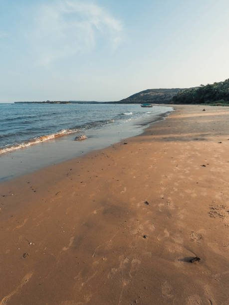 istock Beach in early sunrise light 1355786518