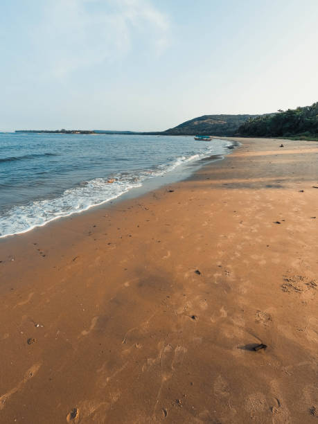 istock Beach in early sunrise light 1355786522