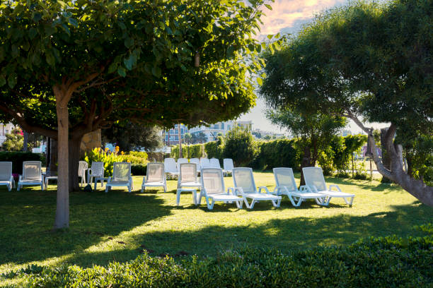 istock sun loungers shaded under the orange tree 1355791869