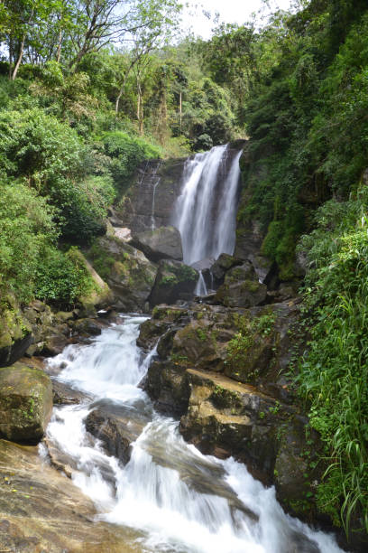 istock Sri Lanka, waterfall, water, nature, river, landscape 1355791911