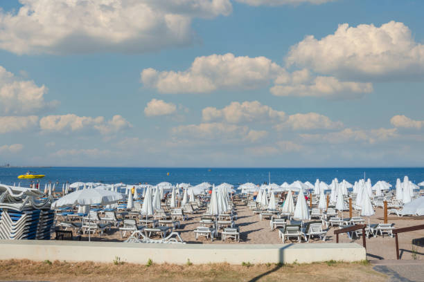 istock Sea, beach, umbrellas and sun loungers 1355792503