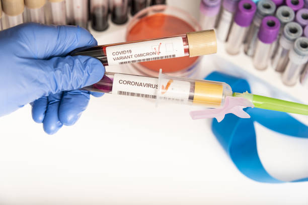 Coronavirus 2019-nCoV variant OMICRON Blood Sample. New Epidemic Corona Virus. South African variant. stock photo