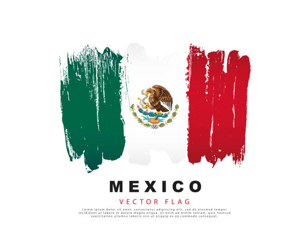 ilustraciones, imágenes clip art, dibujos animados e iconos de stock de bandera de méxico. pinceladas a mano alzada verdes, blancas y rojas. ilustración vectorial aislada sobre fondo blanco. - bandera mexicana
