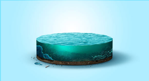 Photo of piece of aquarium or ocean with fishes inside. 3d illustration of  sea isolated. unusual illustration