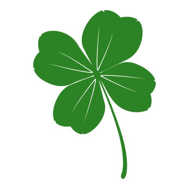 grünes kleeblattsymbol isoliert auf weißem hintergrund. klee mit vier blütenblättern. kleeblatt-schild. - day patricks st patricks day clover stock-grafiken, -clipart, -cartoons und -symbole