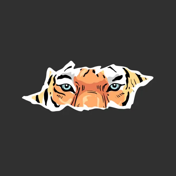 Vector illustration of Illustration of a tiger head. Scratch or cut through black background. Vector clip art