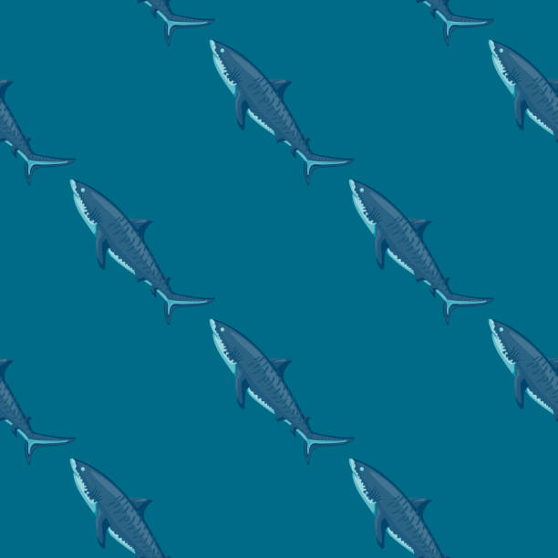 nahtloses muster tigerhai türkisfarbener hintergrund. texturiert von meeresfischen für jeden zweck. - sand tiger shark stock-grafiken, -clipart, -cartoons und -symbole