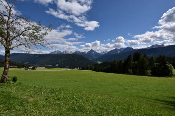 istock Forests, lawns and the Dolomites from Val Casies 1355803886