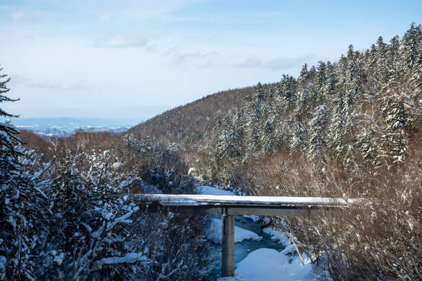 pont sur la rivière bleue en hiver - parc national de daisetsuzan photos et images de collection