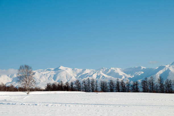 istock Snowfields and snowy mountains with the blue sky 1355804099